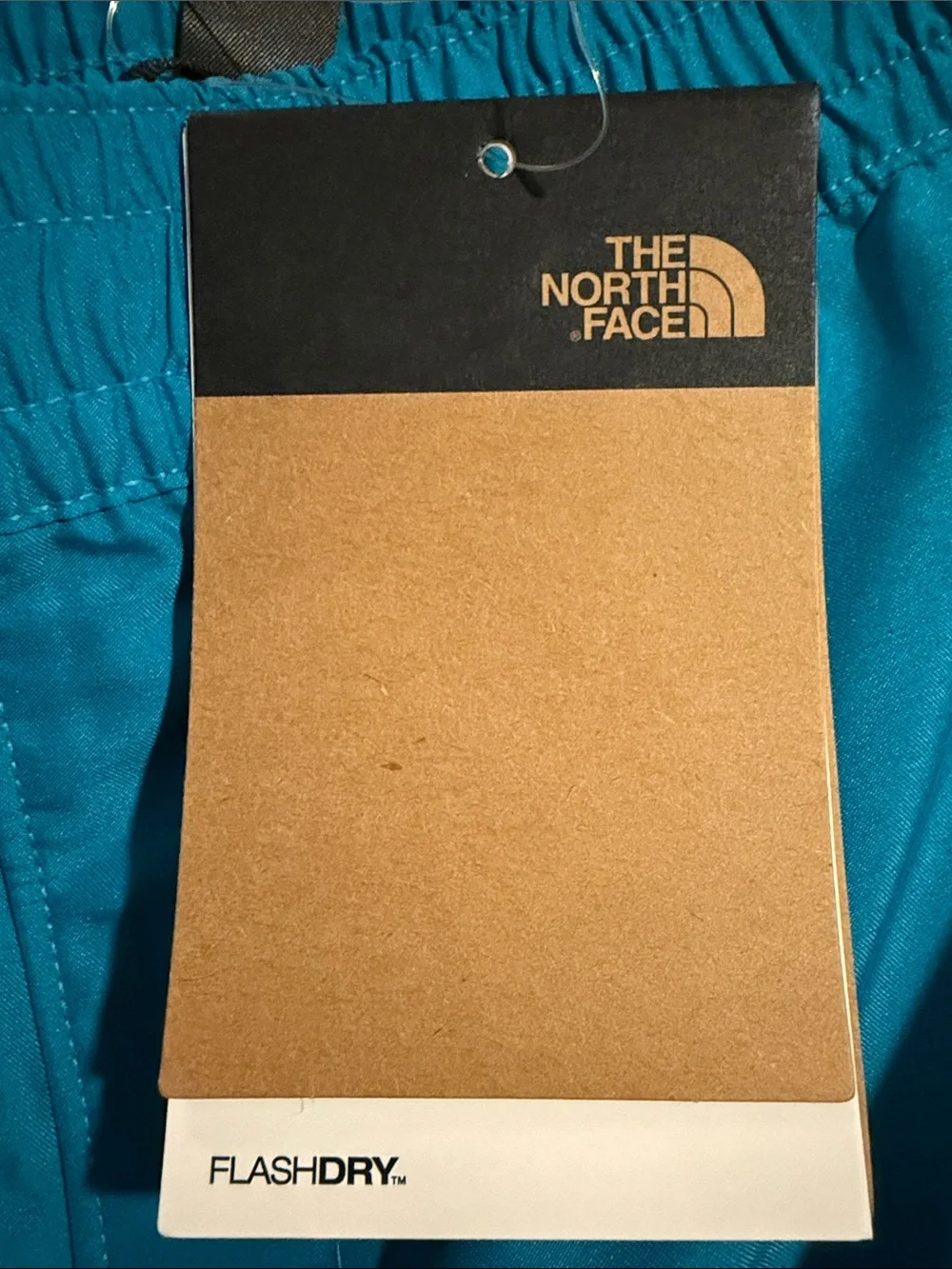 The North Face Men’s Athletic Shorts in Teal